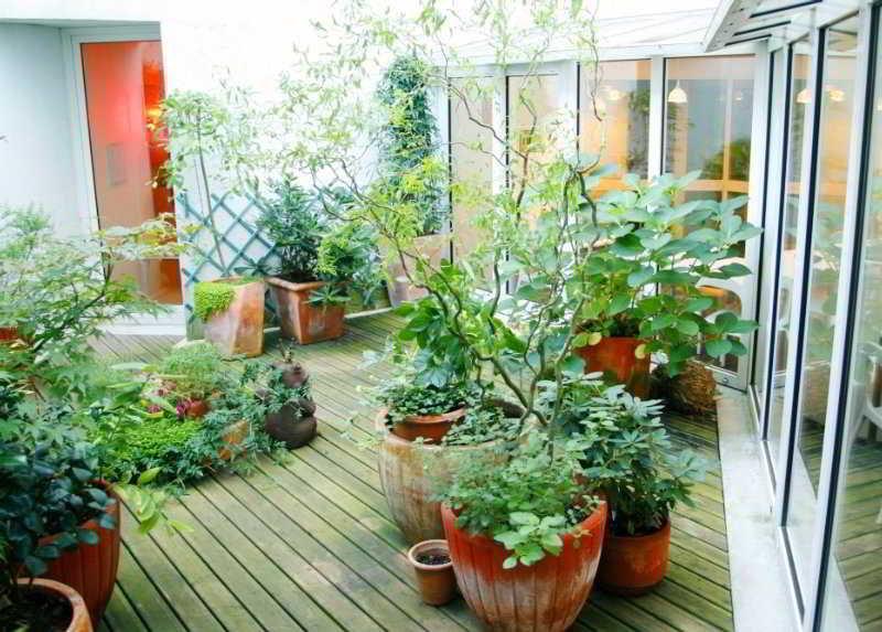 Hotel Ibis Centre Gare Saint Jean Euratlantique Bordeaux