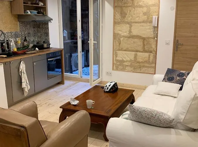 Appartement Cosy Avec Climatisation Et Patio Centre Historique De Bordeaux