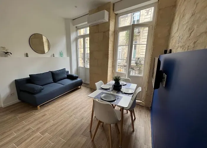 Appartement Climatise Au Coeur De Bordeaux