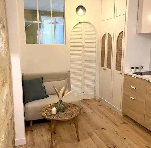 Studio Bordelais Avec Terrasse