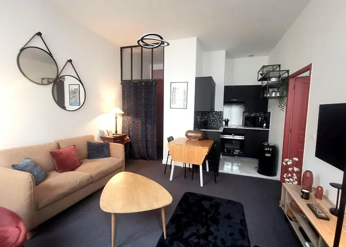 Ravissant Appartement Entierement Renove T2, Proche De La Rue Saint Catherine