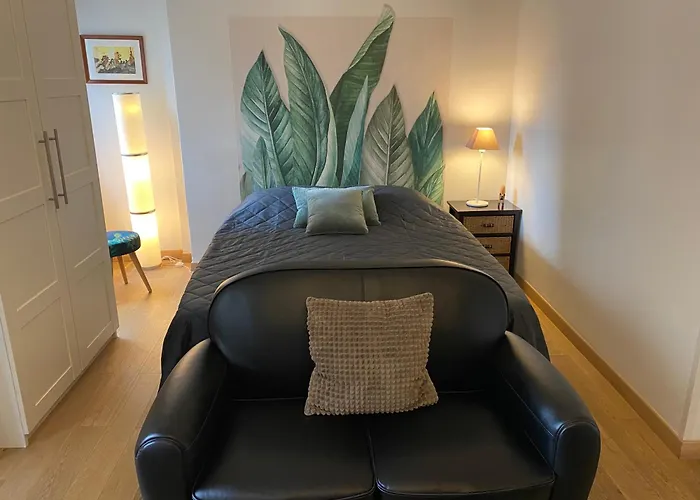 Joli Et Agreable Studio
