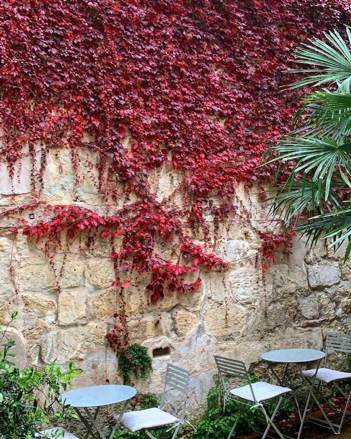 La Maison Galiene Bed & Breakfast Bordeaux