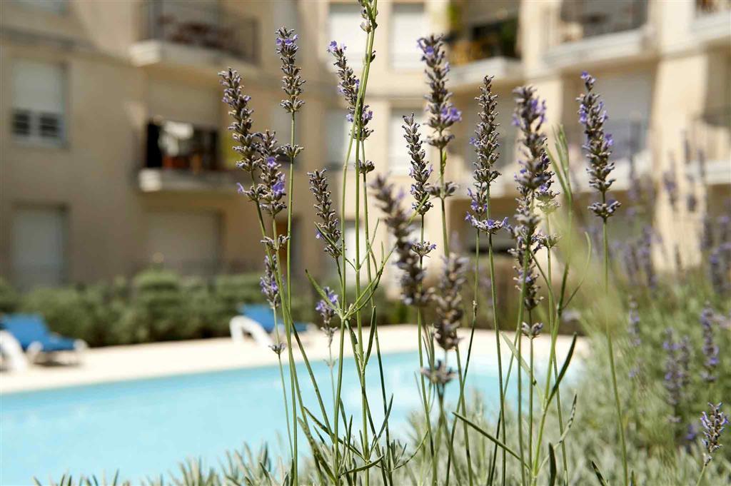 Aparthotel Adagio Access Rodesse