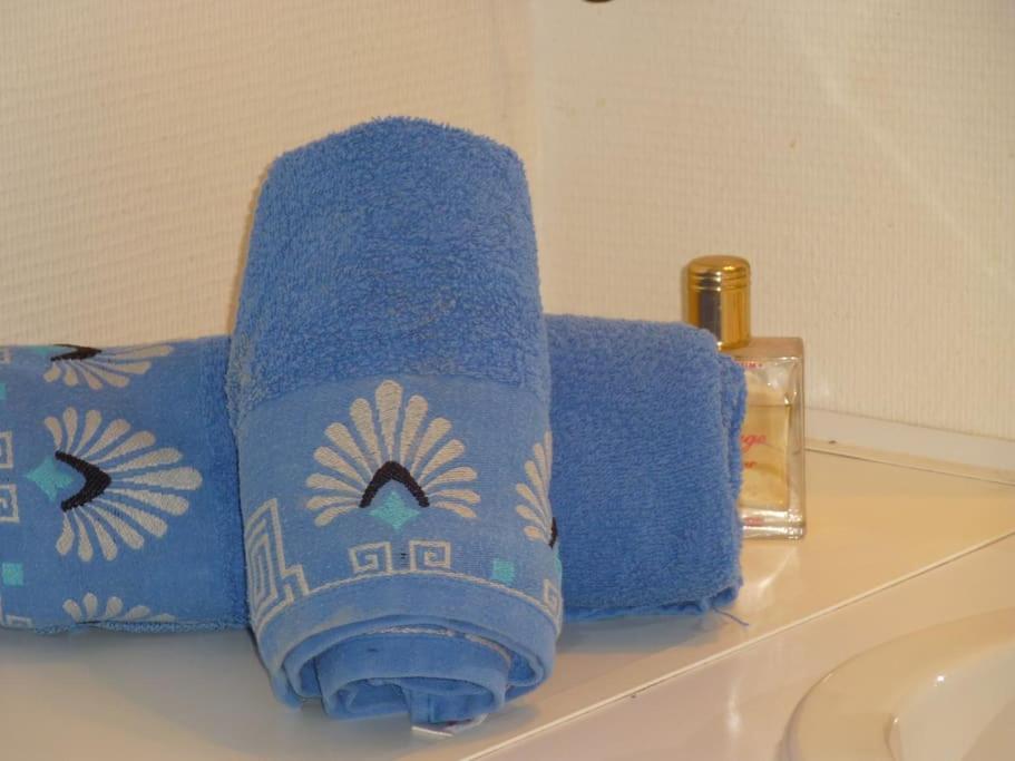 - Proche Du Centre - Salle D'eau Et Wc Prives Hospedagem domiciliar