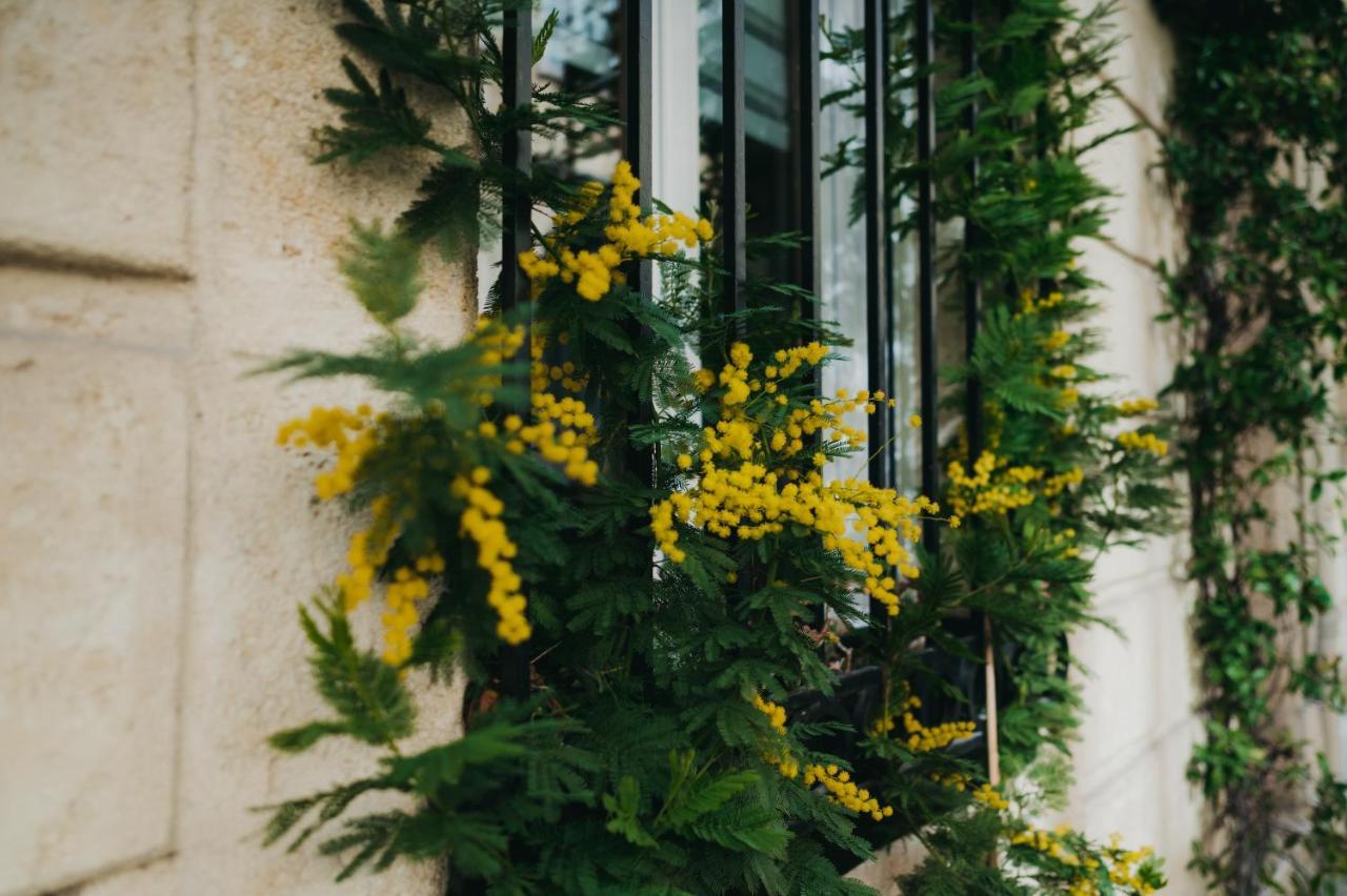 Bed & Breakfast La Belle Endormie French