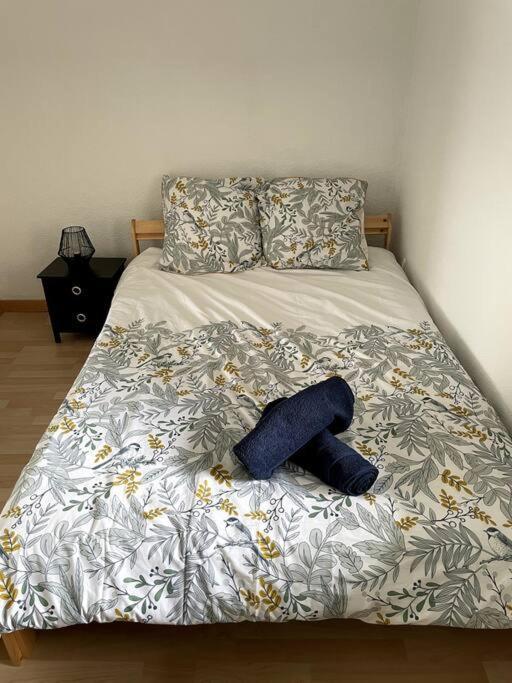 Duplex Moderne Proche De Toutes Commodites * Bordeaux