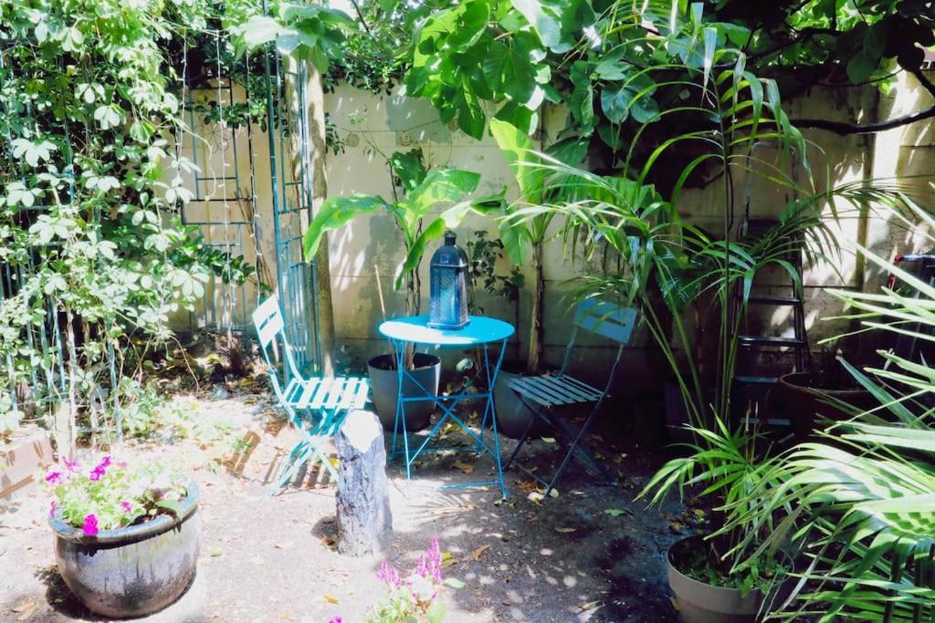 Appartement 1 Chambre Sur Jardin Bordeaux