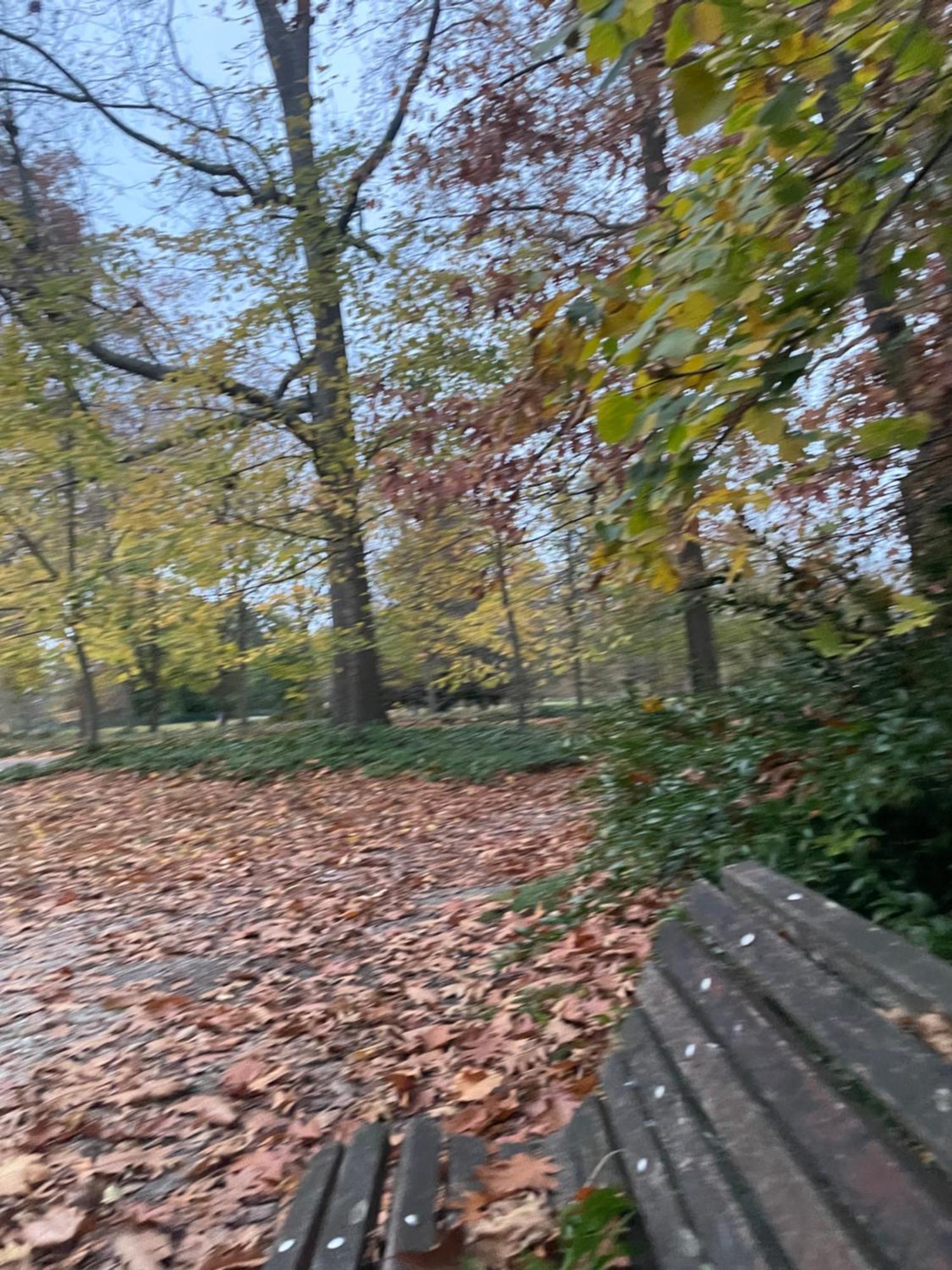 La Bocage *