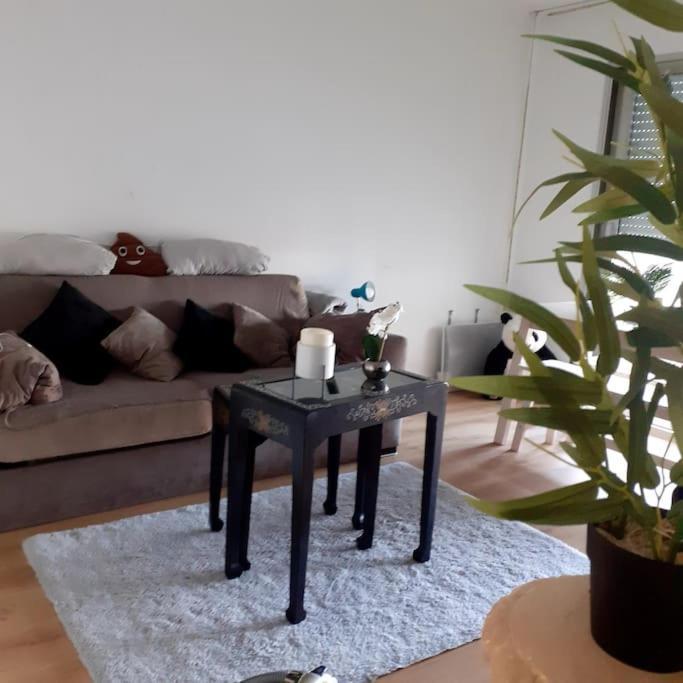 Apartamento F1 Gare Saint Jean Bordéus