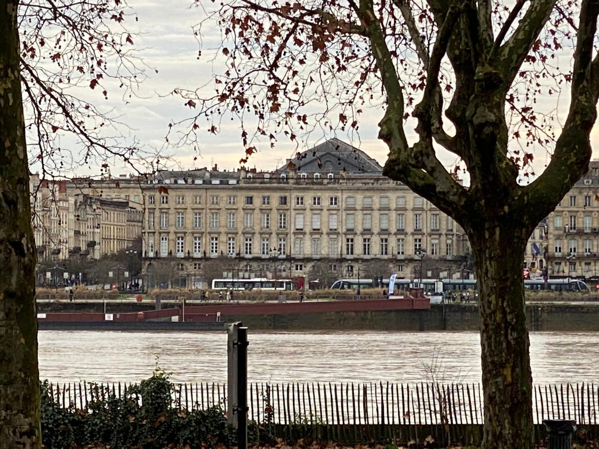 Duplex Avec Vue Sur La Garonne Apartment