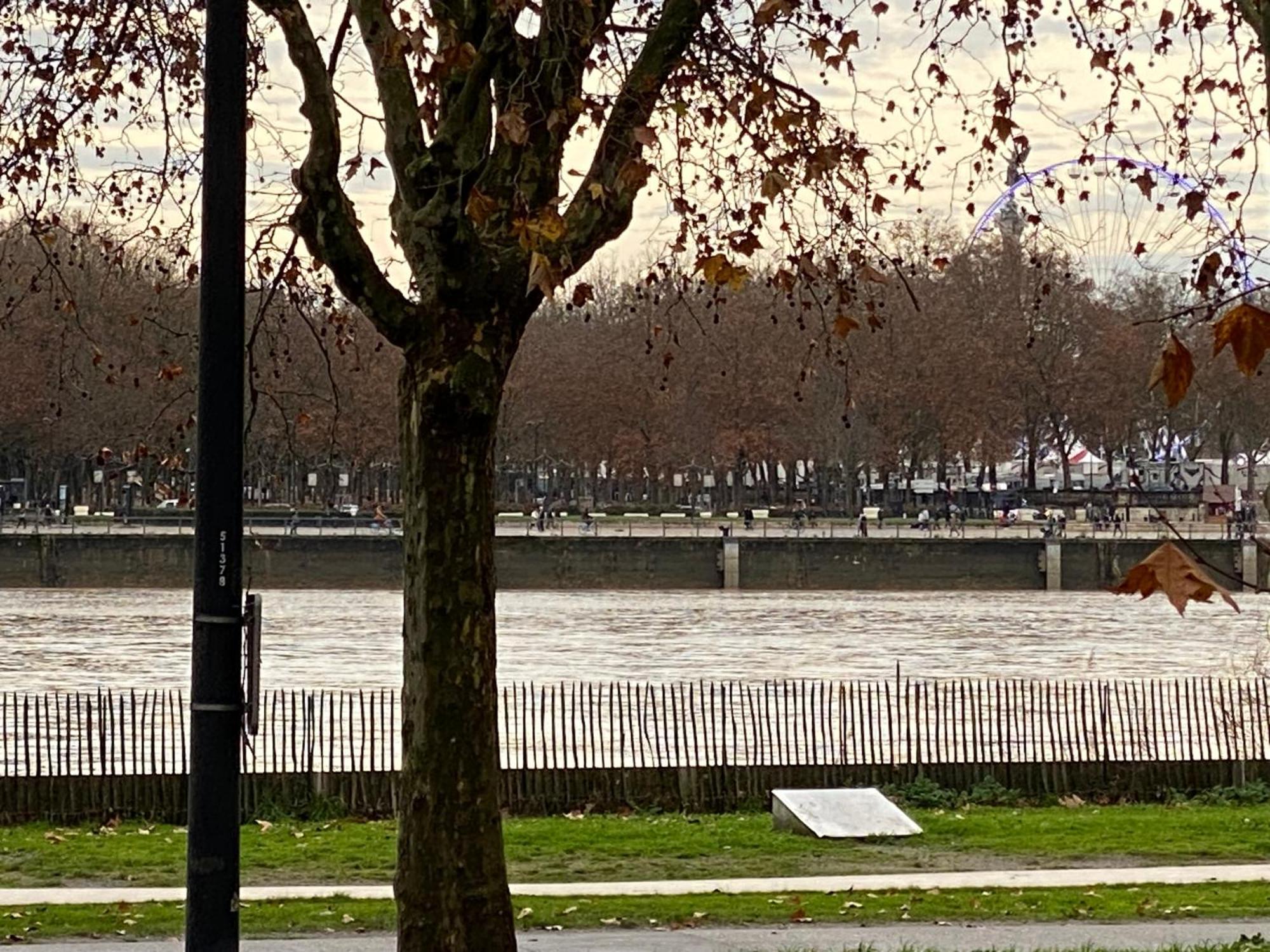 Apartment Duplex Avec Vue Sur La Garonne *