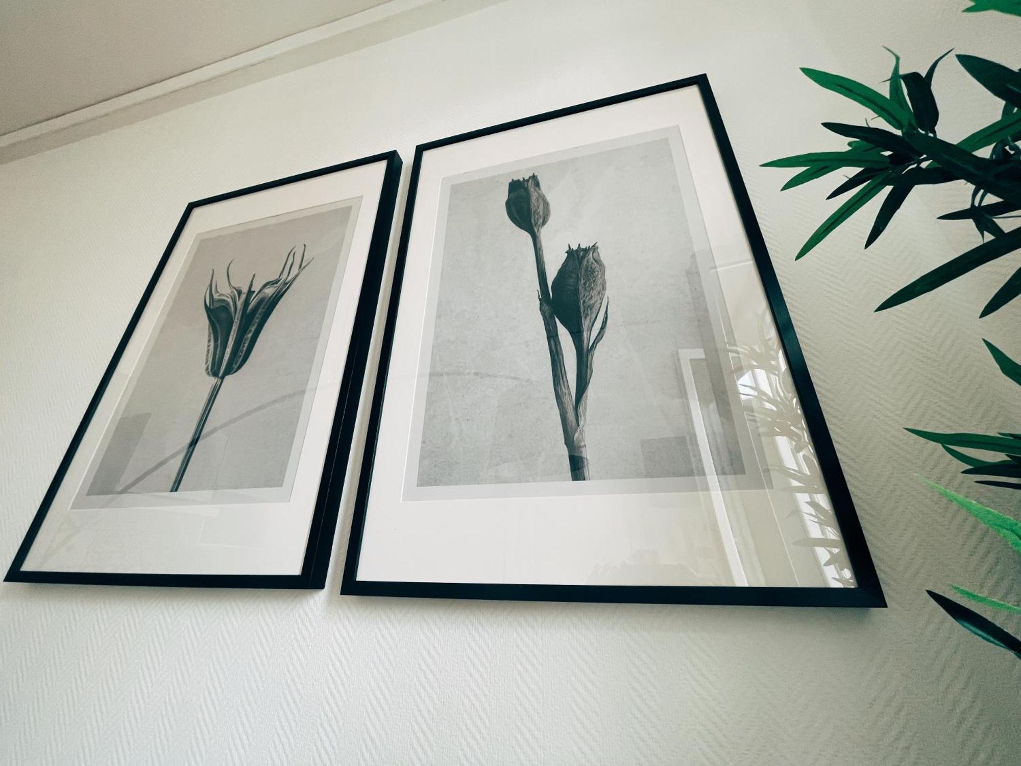 Apartment Respire Bordeaux
