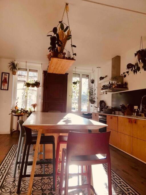 Maison De Esprit Loft Grande Et Lumineuse Appartement