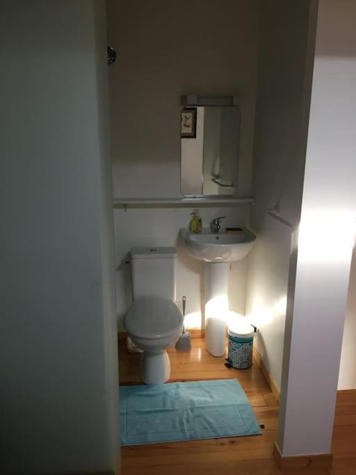 Apartment Nid Douillet Plein Centre *