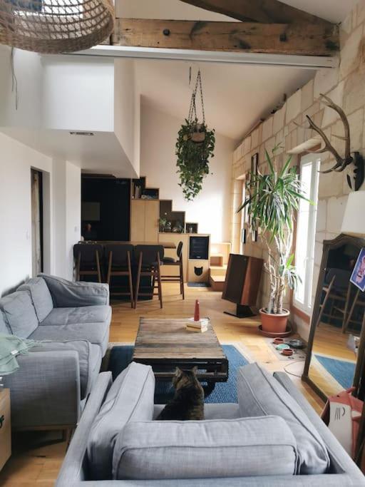Duplex Atypique Et Chaleureux, Hyper Centre Bordeaux