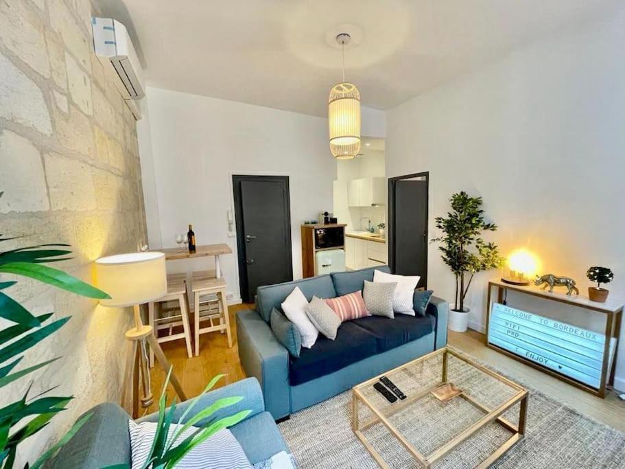 Joli 2 Pieces Climatise - Triangle D'or Apartment Bordeaux