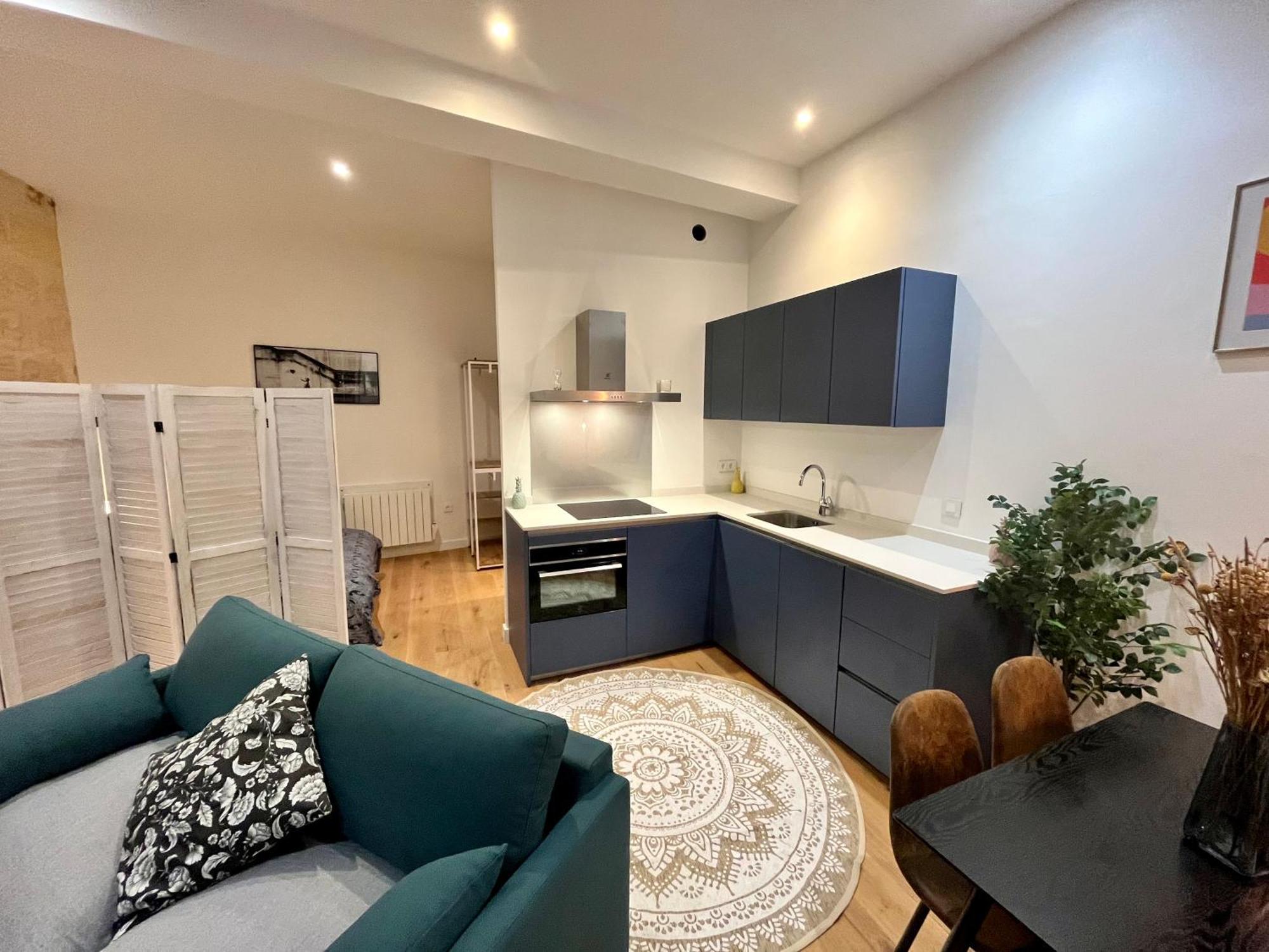Apartment Grand Loft Vieux