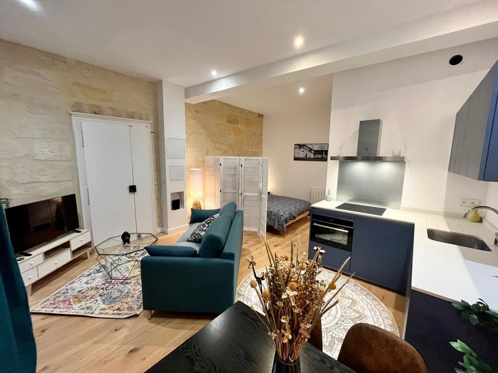Apartment Grand Loft Vieux Bordeaux