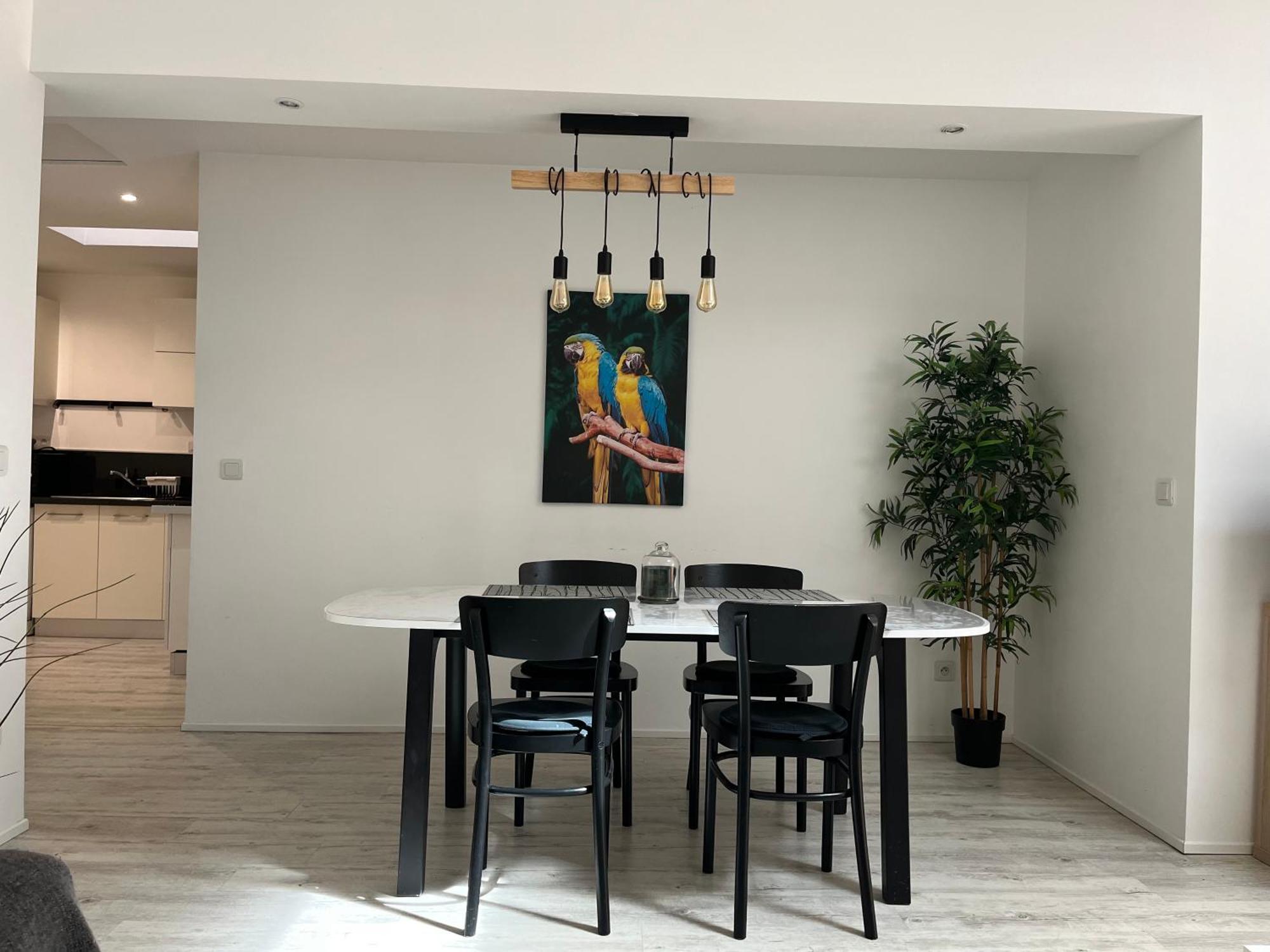 Appartement Aquitain Gare Saint Jean Bordeaux