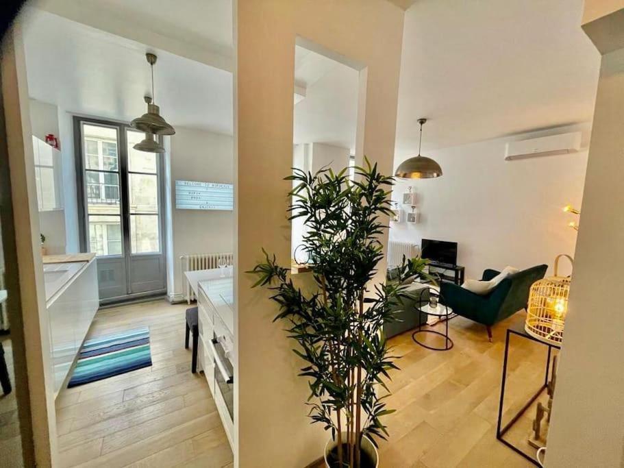 Apartment Beaux T2 Et T3 Climatises Dans Le Triangle D'or