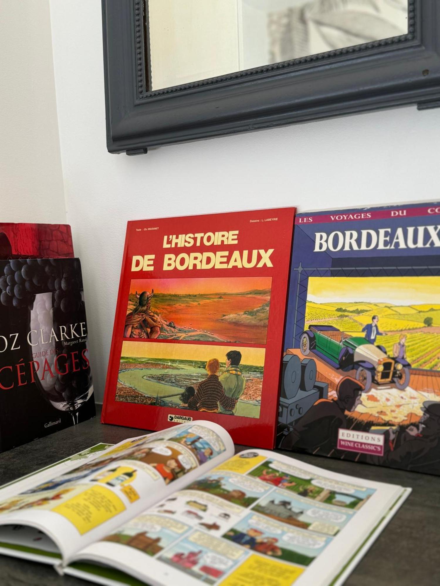 Centre-ville Donnant Sur Cours Vegetalisee Apartment Bordeaux