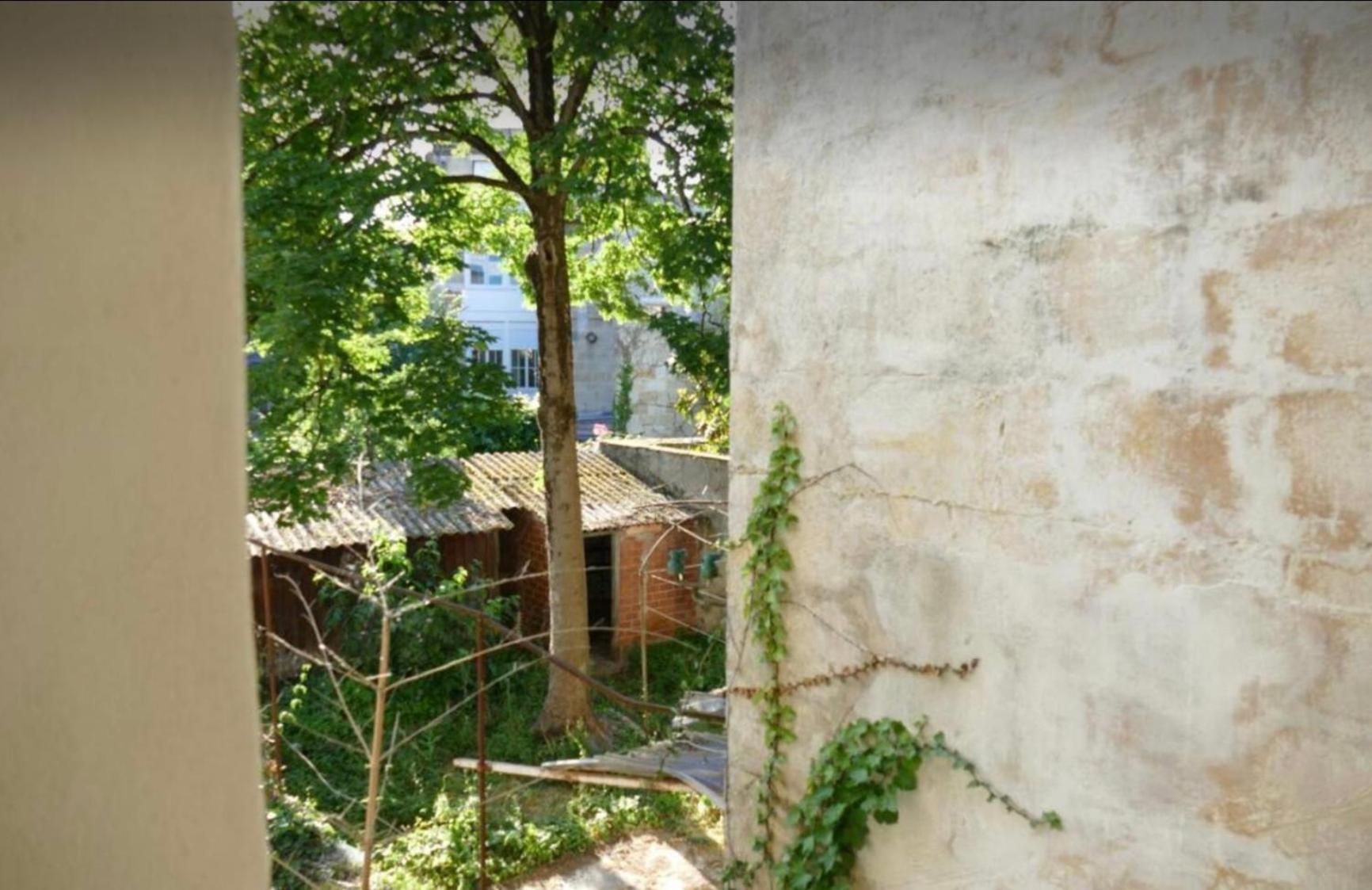 Apartment Centre-ville Donnant Sur Cours Vegetalisee