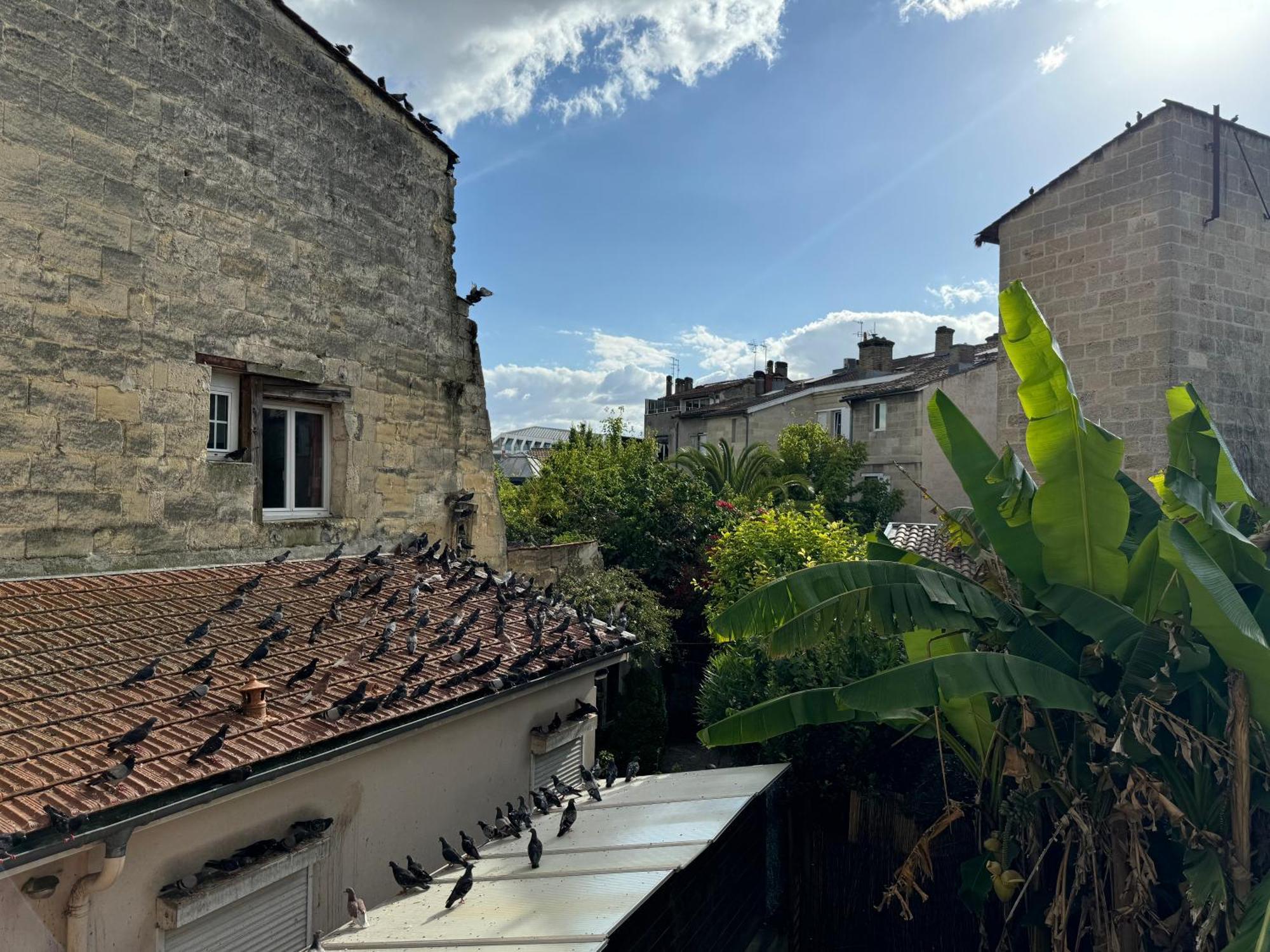 Apartment Centre-ville Donnant Sur Cours Vegetalisee *