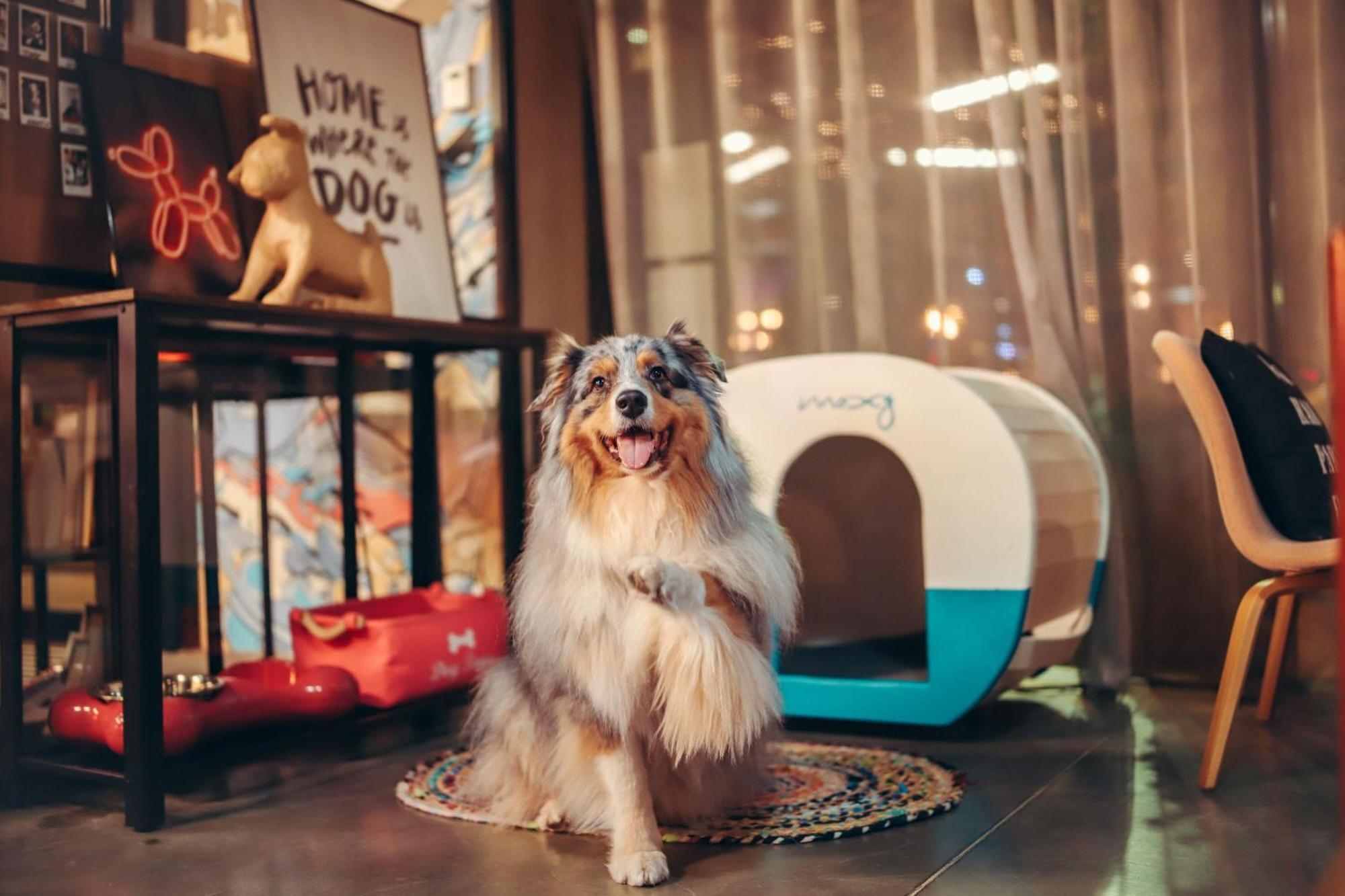 Khách sạn Moxy 3*