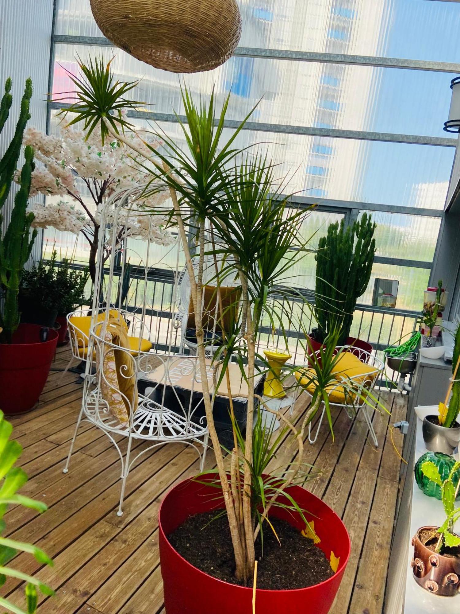 Loft Atypique13om2-salon De 40m2, Rooftop Et Patio Couvert Dep Tardif 13h-pkg Gratuit Prive Sur Place ,clim Apartment *