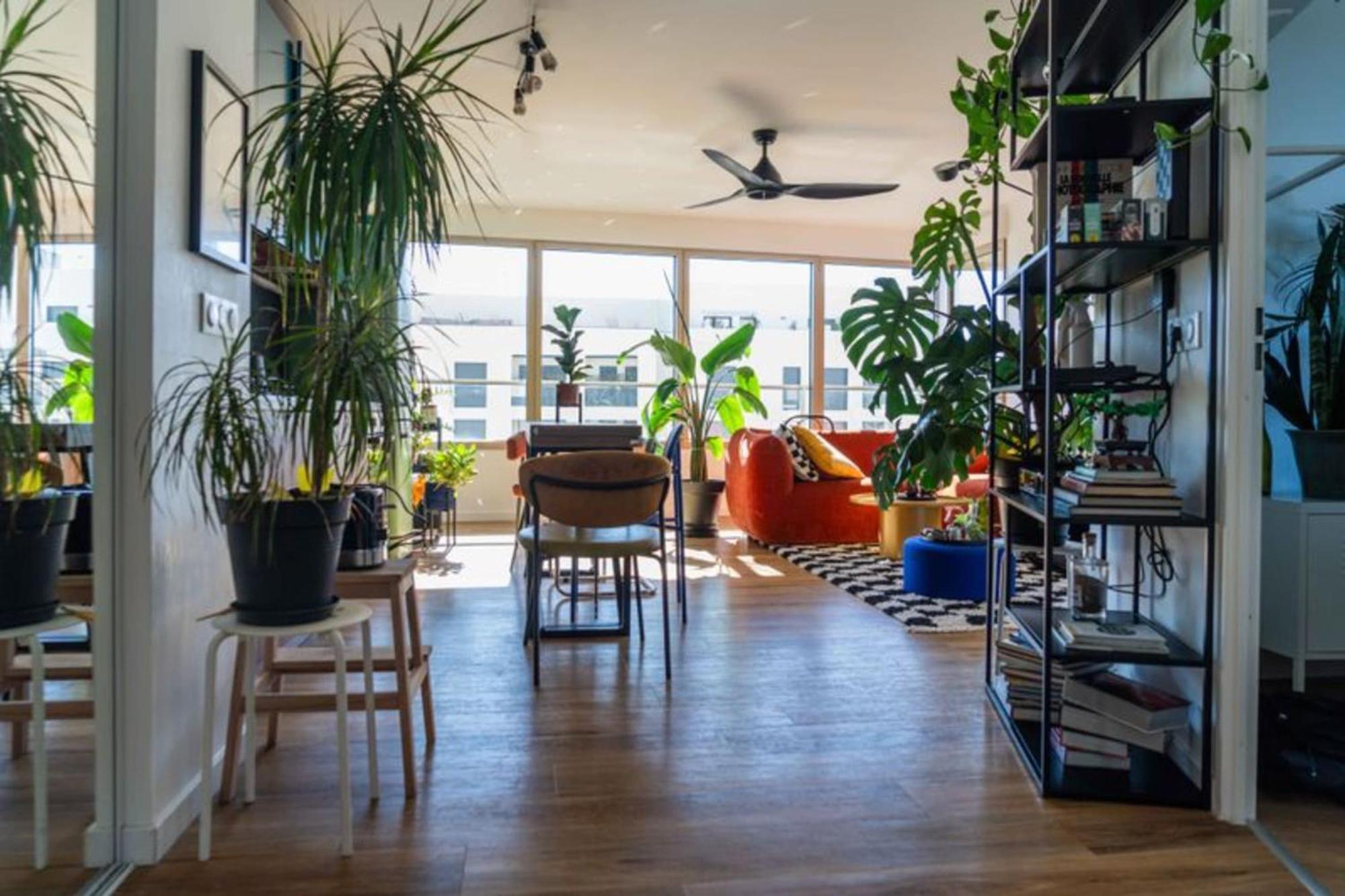 Apartment Bright With View And Terrace