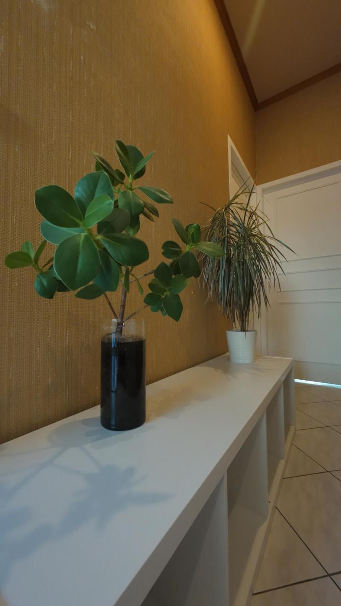 Escapade Aux Chartrons Bed & Breakfast