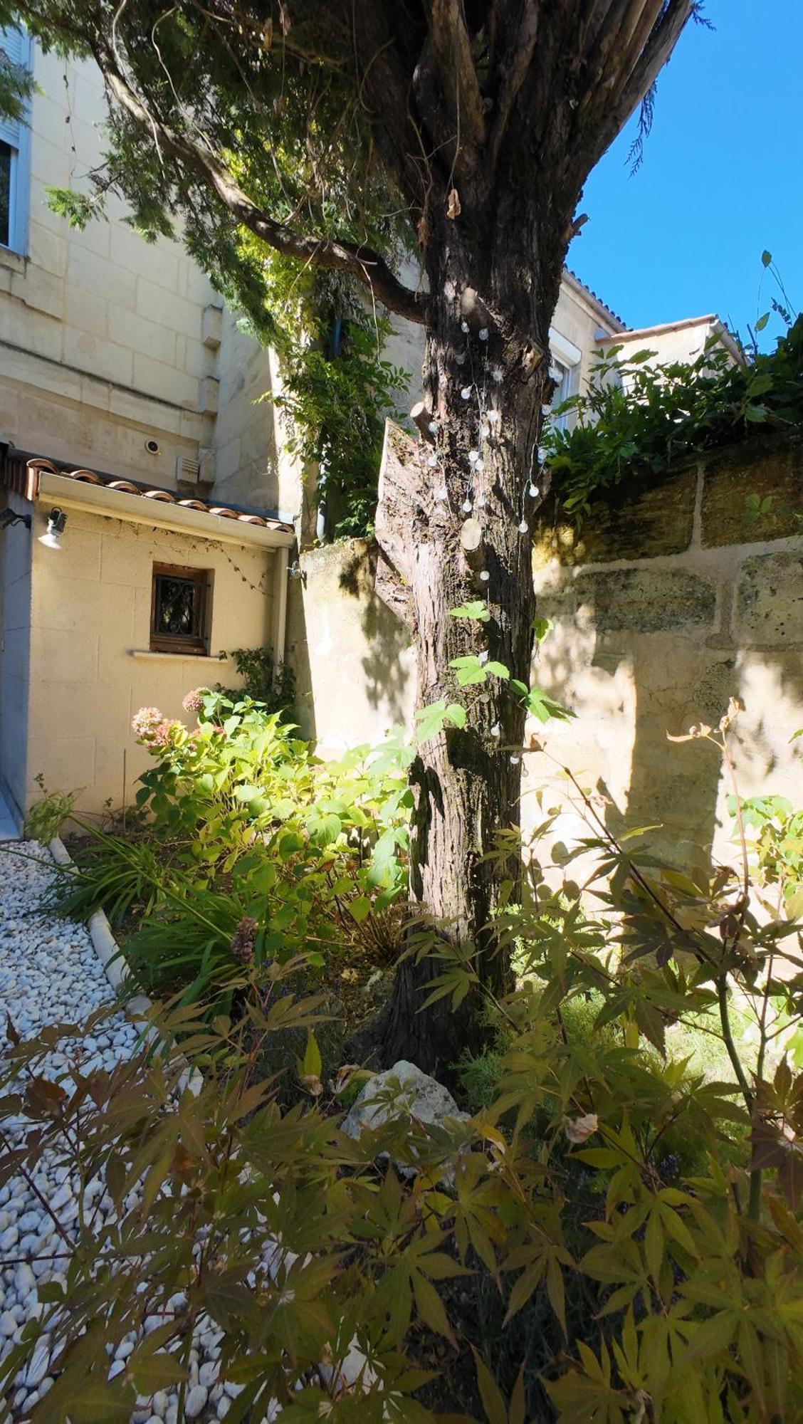 Escapade Aux Chartrons Bed & Breakfast