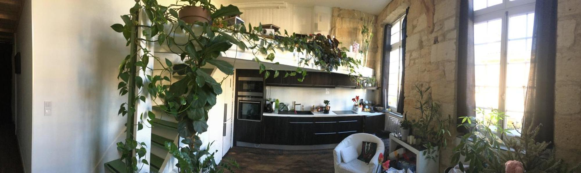 Apartment 18esiecle Proche Centre Pierre Plantes Boheme Lgbt *