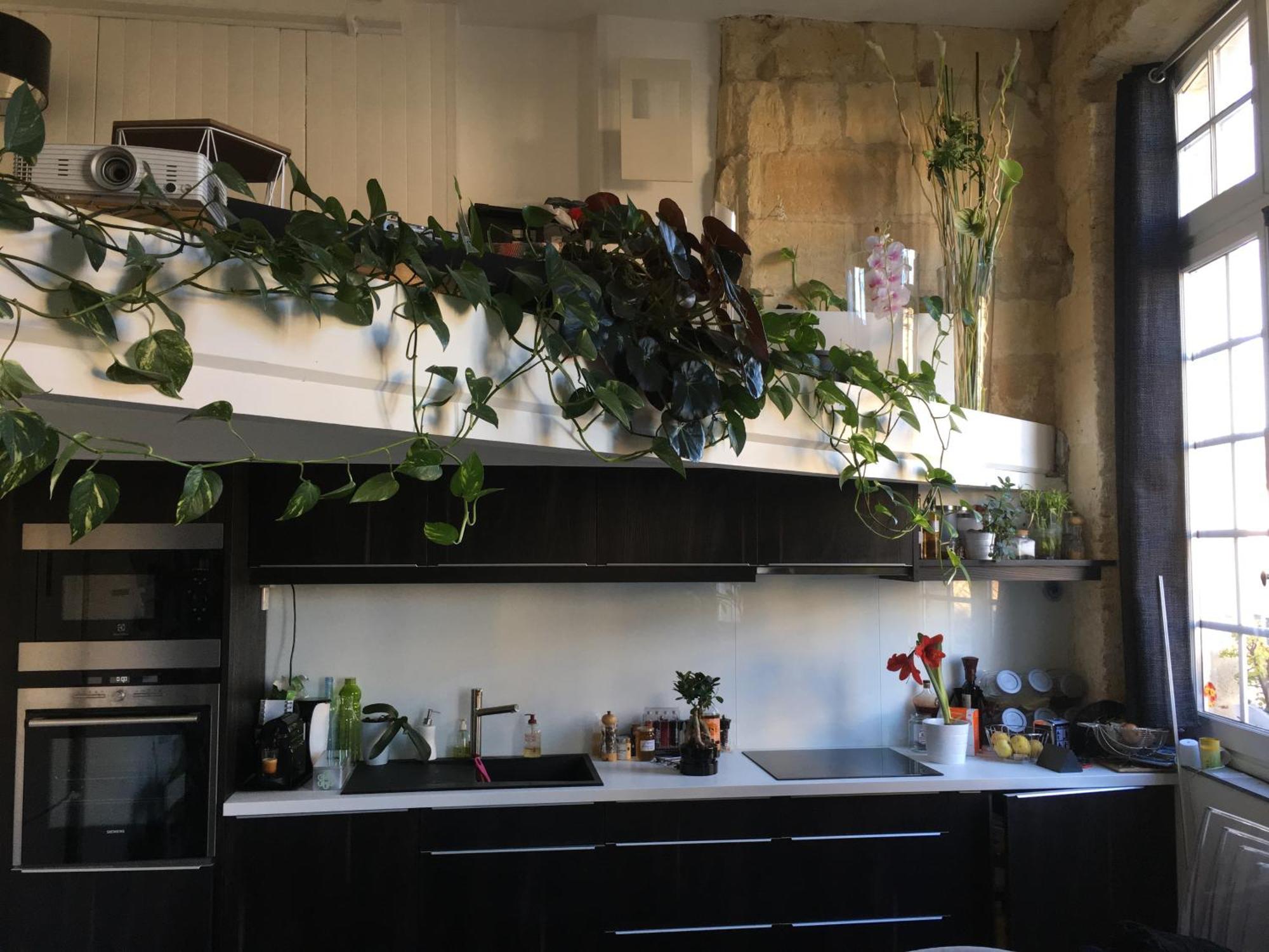 Apartment 18esiecle Proche Centre Pierre Plantes Boheme Lgbt *