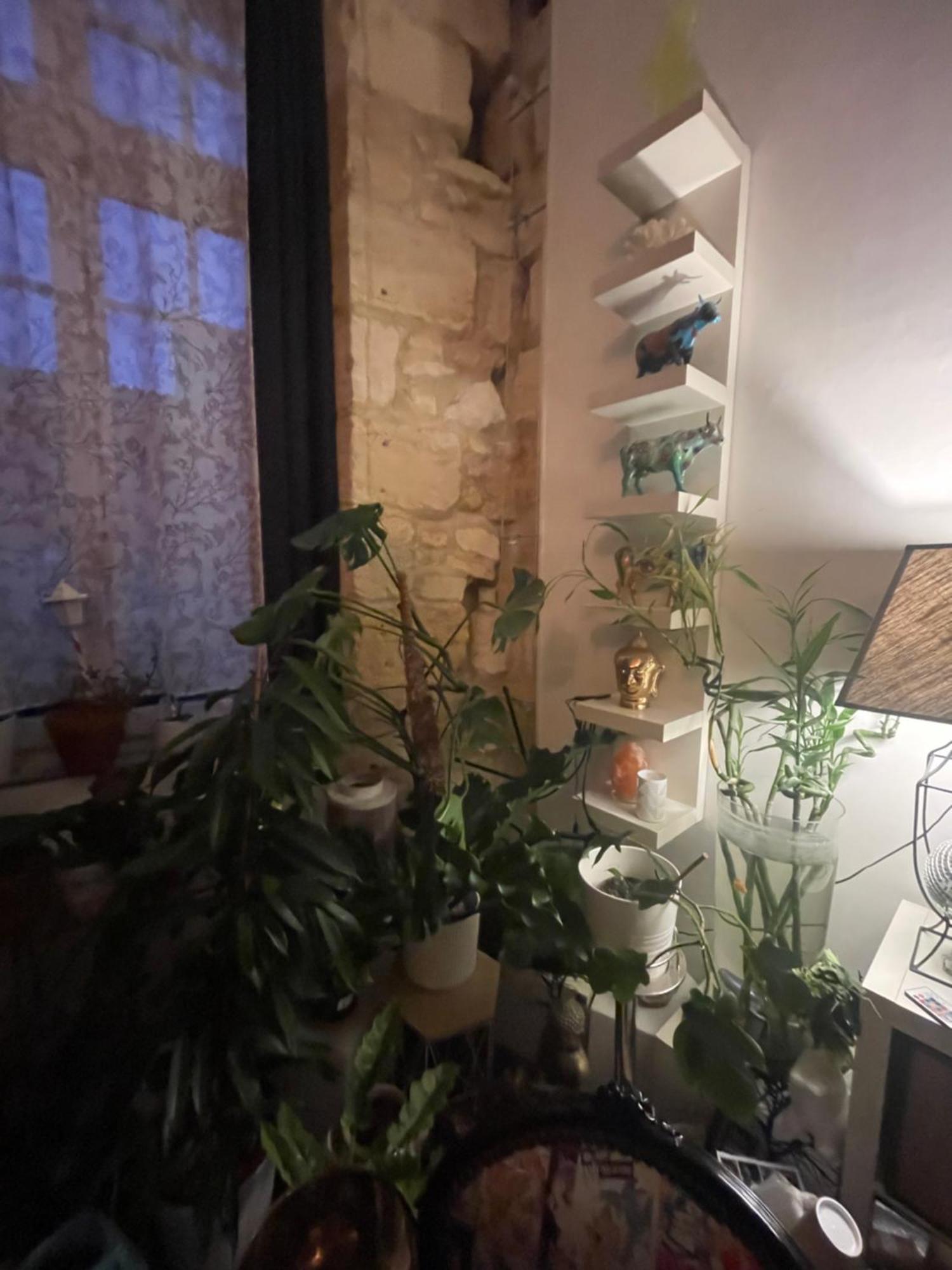 18esiecle Proche Centre Pierre Plantes Boheme Lgbt Apartment Bordeaux