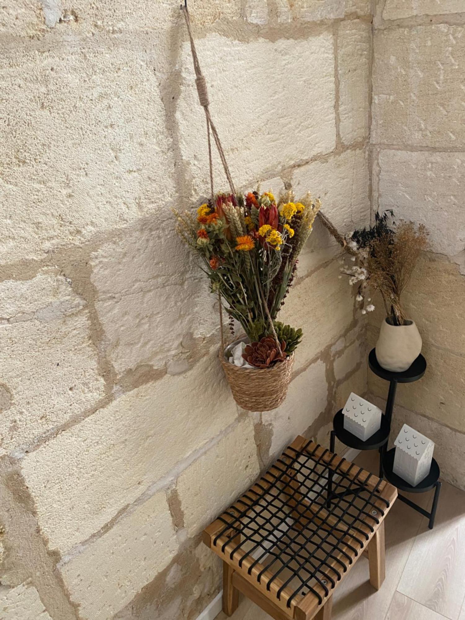 Escapade Cosy Charme Bordelais Centre Apartment