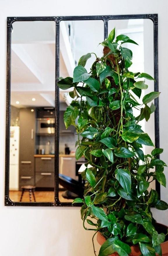 Apartment Jolie Duplex Au Coeur De Saint Michel *
