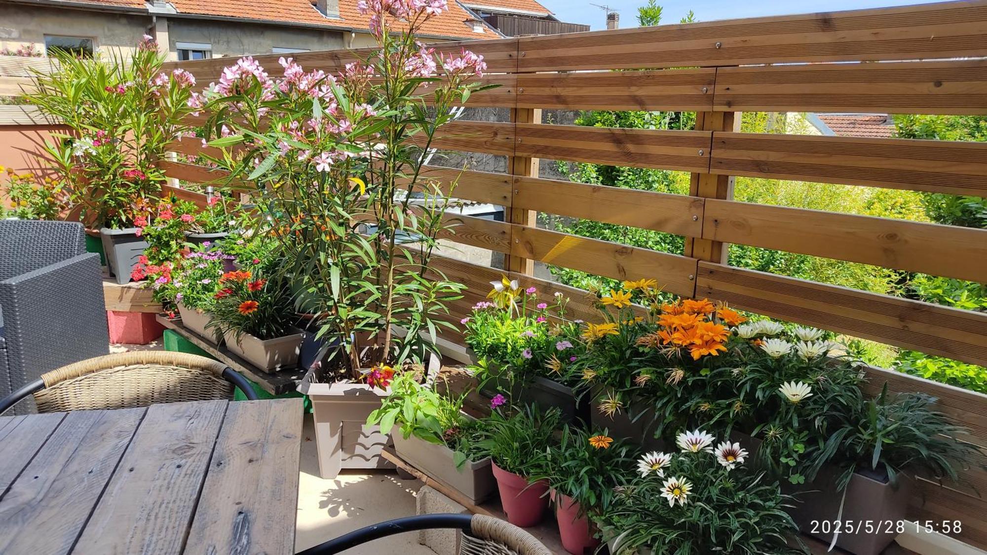 Apartment Les Bonbonieres D'andrea Gavinies Pellegrin *
