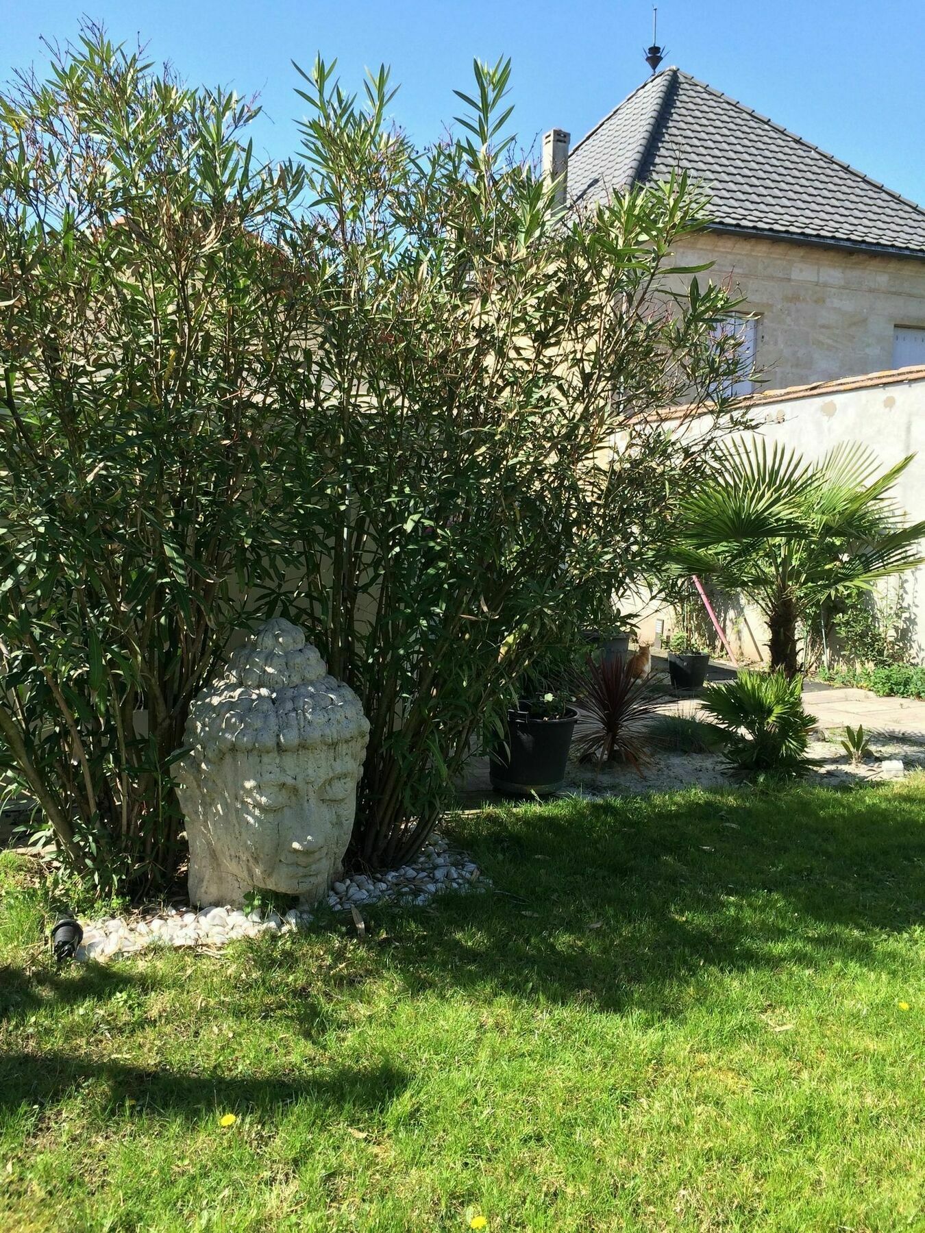Guest house Loft Zen Bordeaux
