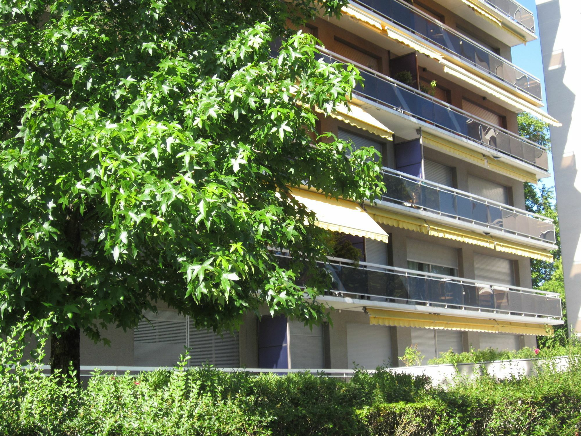 Le Rohan Parc Bordelais Apartment