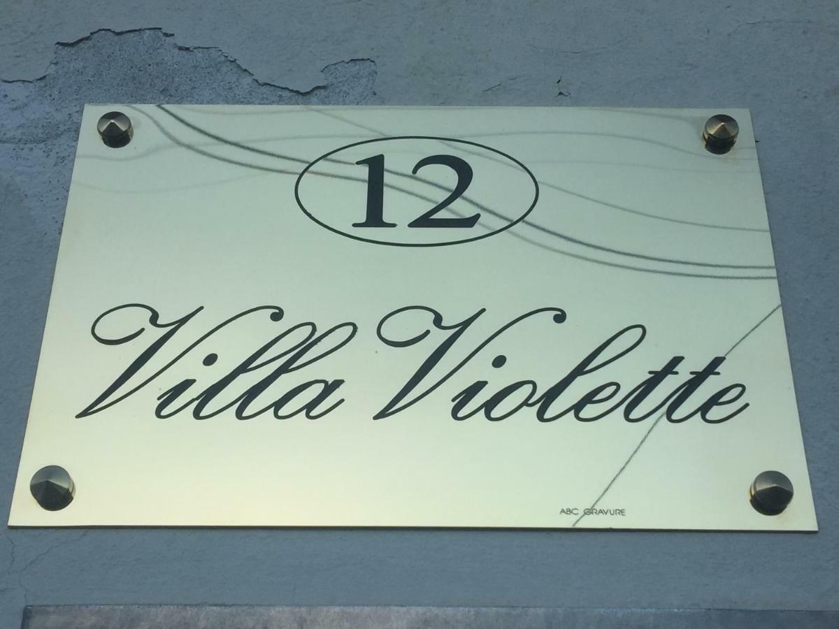 Violette * Bordeaux