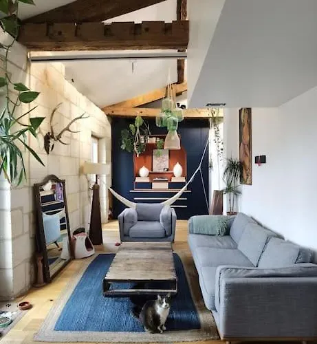 Duplex Atypique Et Chaleureux, Hyper Centre