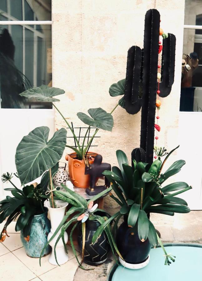 Koko & Baobab