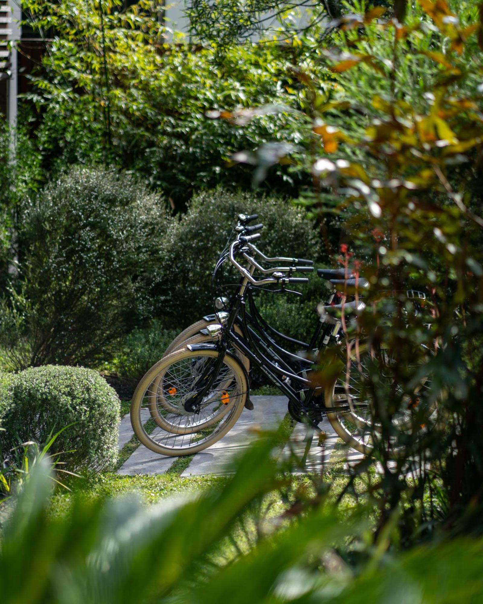 La Zoologie & Bordeaux