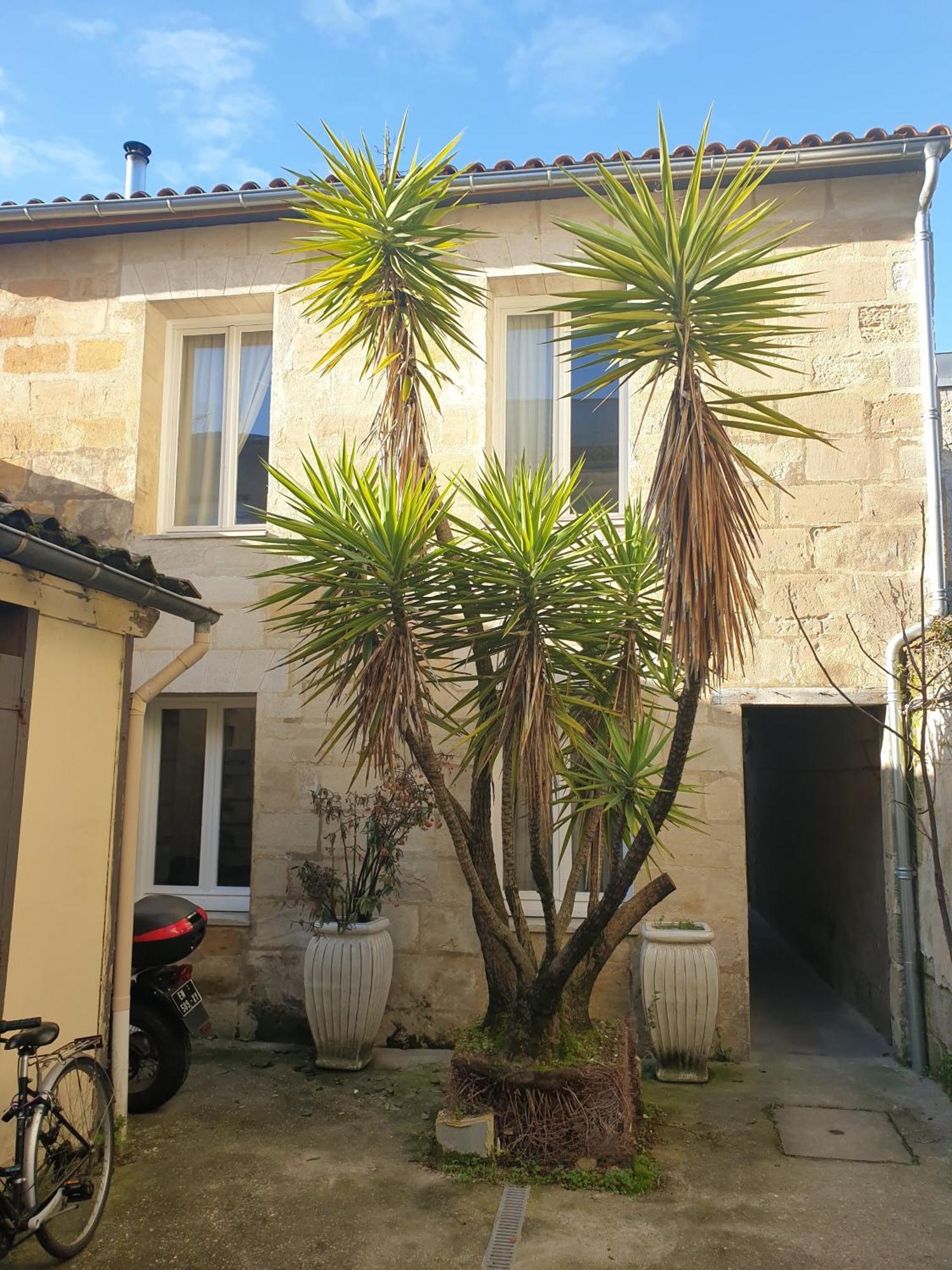 Maison Loft Comme En Pleine Nature Villa *
