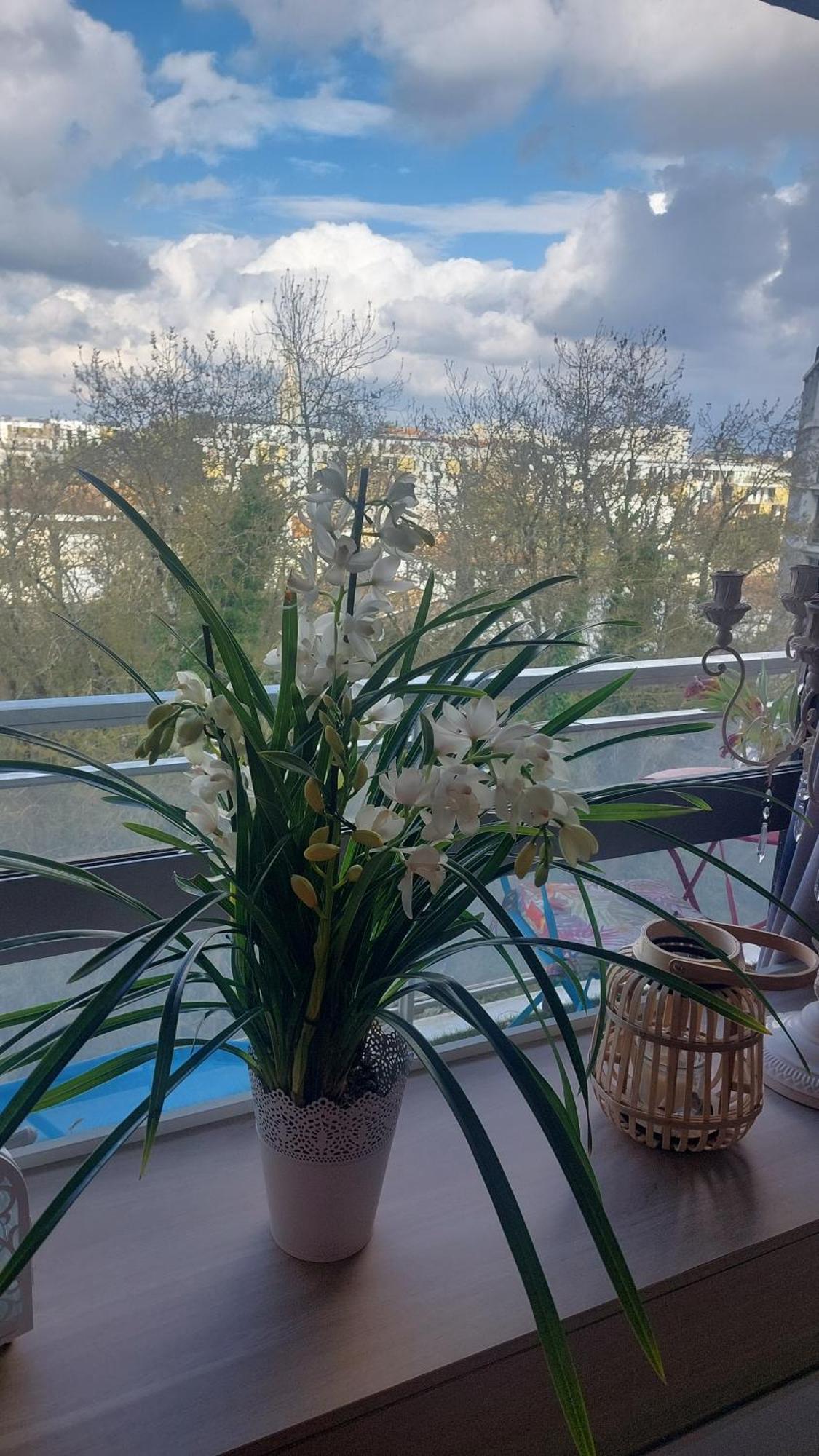Homestay Chez L'habitante Avec Salle De Bain Et Cuisine Communes - Presence D'un Bordeaux