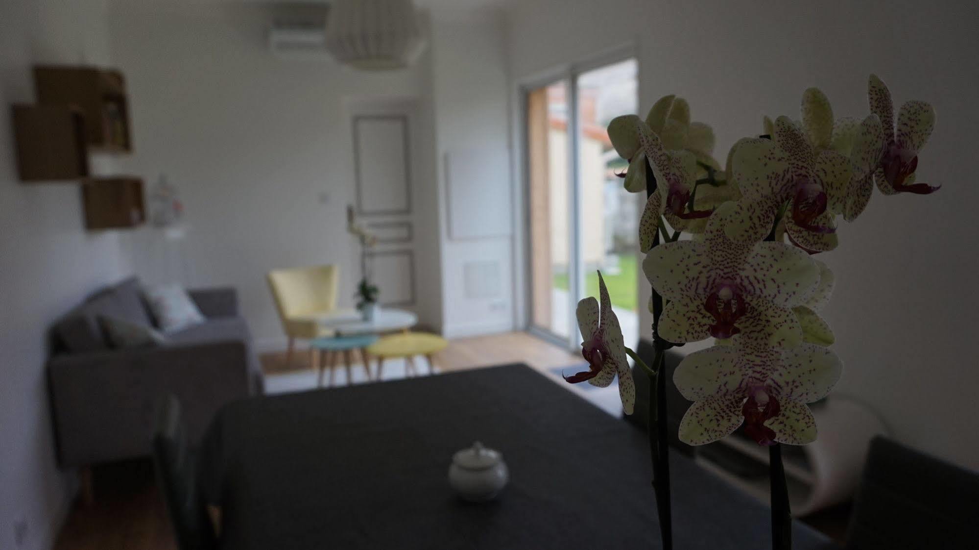 Frühstückspension La Maison Gavinies Bordeaux