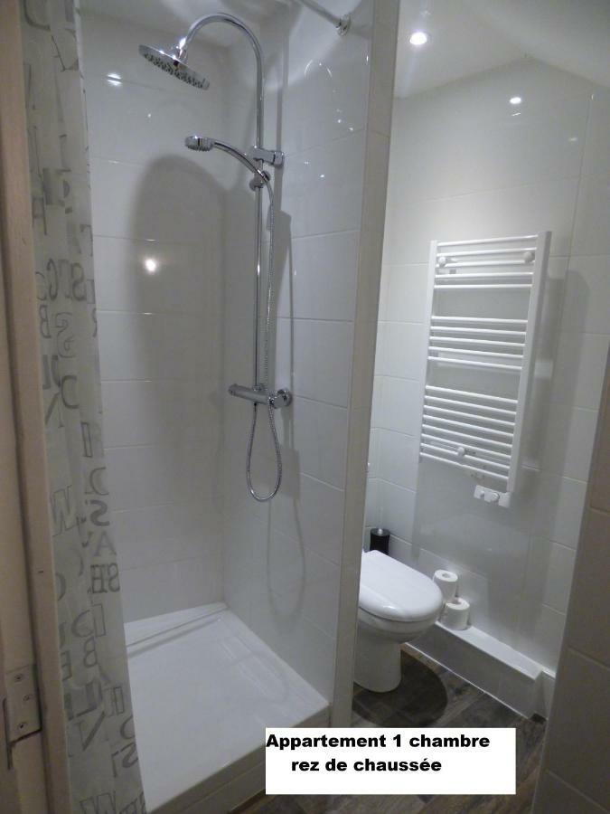 Gare Saint Jean Apartment Bordeaux